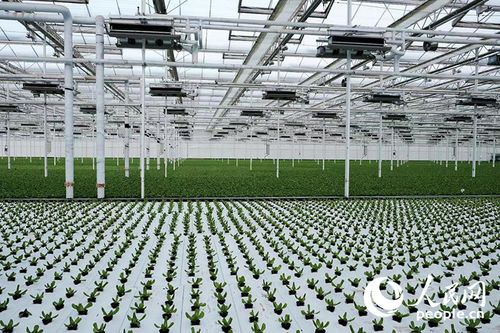 西部大開發新篇章 以高水平開放引領環?？萍碱I域的技術創新