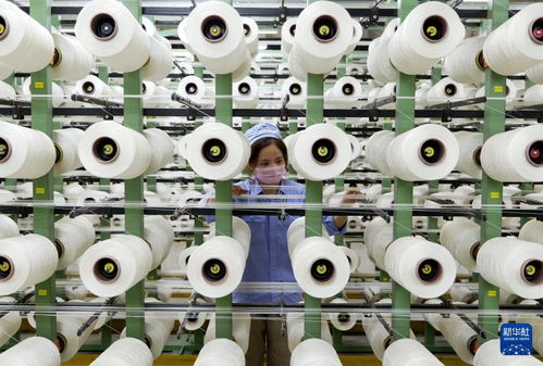 新華全媒 丨河南傳統產業向“新”而行 以環?？萍奸_辟轉型新賽道